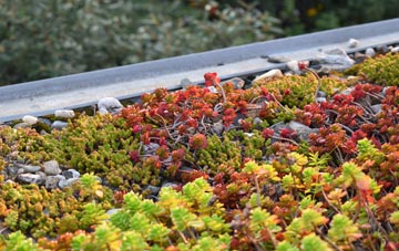 the cost of Potterhanworth green roof installation
