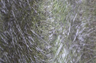 Potterhanworth fibreglass roof work